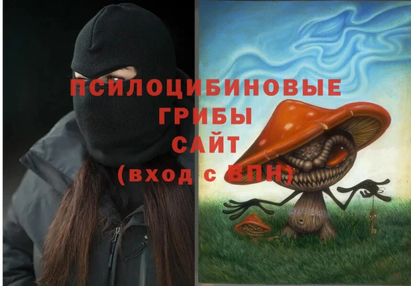 шишки Арсеньев