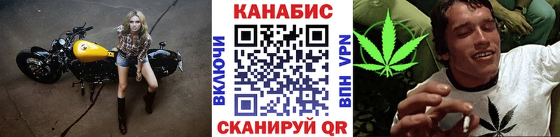 Канабис план  Гусь-Хрустальный 